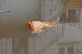 Heavy Rain and Flooding in The Cotes-D'armor Region - France