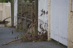 Heavy Rain and Flooding in The Cotes-D'armor Region - France