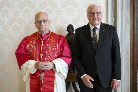 Pope Leo XIV meets Frank-Walter Steinmeier - Vatican
