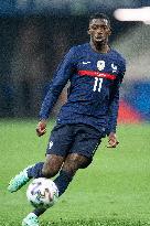 International Friendly - France v Wales