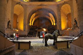 Illustration - Chantilly