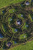 Illustration - Chantilly