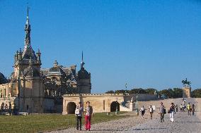 Illustration - Chantilly