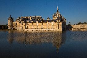 Illustration - Chantilly