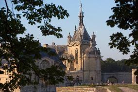 Illustration - Chantilly