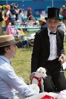 Illustration - Chantilly