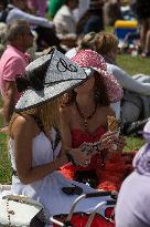 Illustration - Chantilly