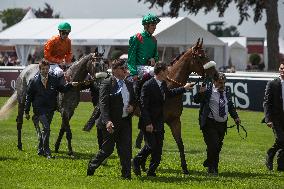 Illustration - Chantilly