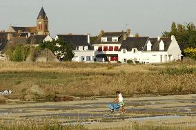 Illustration - Guerande