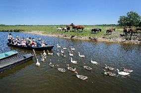 Illustration - Guerande