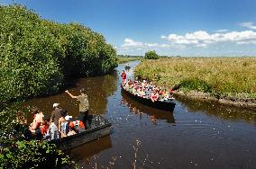 Illustration - Guerande