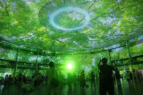 Shanghai International Light Festival 3D Dome Projection Show