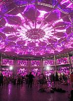 Shanghai International Light Festival 3D Dome Projection Show