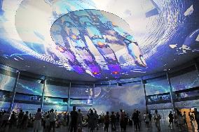 Shanghai International Light Festival 3D Dome Projection Show
