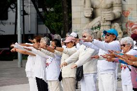 Tai Chi Class for the International Day of Peace - Mexico