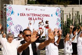 Tai Chi Class for the International Day of Peace - Mexico