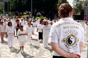 Tai Chi Class for the International Day of Peace - Mexico