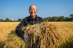 Heilongjiang Autumn Harvest - China
