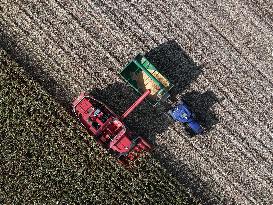 Heilongjiang Autumn Harvest - China