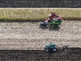 Heilongjiang Autumn Harvest - China
