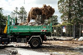 Farmers Protest Outside the Tarn-Et-Garonne Departmental Council - Montauban