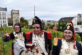 Clos Montmartre Grape Harvest - Paris