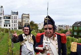 Clos Montmartre Grape Harvest - Paris