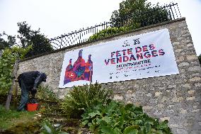 Clos Montmartre Grape Harvest - Paris