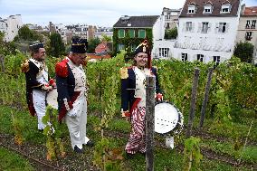 Clos Montmartre Grape Harvest - Paris