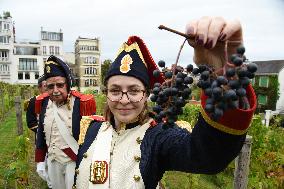 Clos Montmartre Grape Harvest - Paris