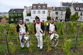 Clos Montmartre Grape Harvest - Paris