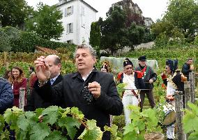 Clos Montmartre Grape Harvest - Paris
