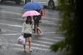 Super Typhoon Ragasa Hit Nanjing