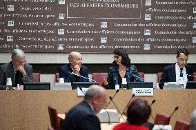 Hearing of Eric Trappier at the National Assembly - Paris