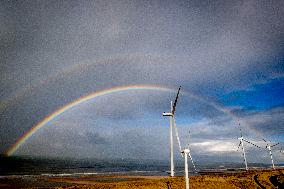 Double Rainbow over Wind Turbines - Rotterdam