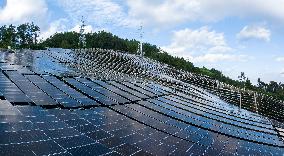 Three Gorges Reservoir Area Photovoltaic Power Station