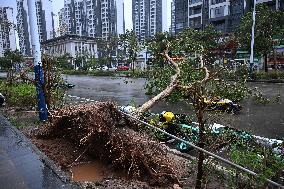 Typhoon Ragasa Makes Landfall in South China