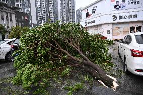 Typhoon Ragasa Makes Landfall in South China