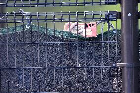 Carlos Alcaraz And Taylor Fritz Engage In Intense Training Session - Tokyo