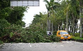 Damage After Typhoon Ragasa - China