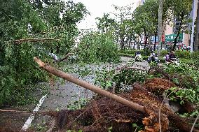 Damage After Typhoon Ragasa - China
