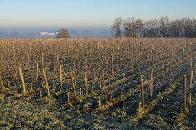 Illustration - Gironde