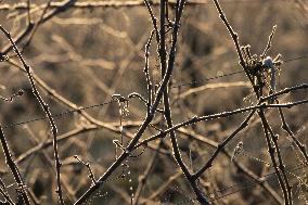 Illustration - Gironde