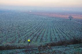 Illustration - Gironde