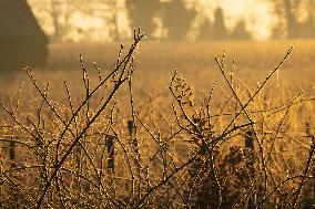 Illustration - Gironde