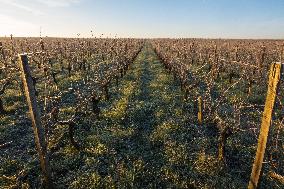 Illustration - Gironde