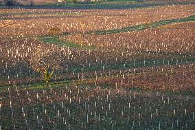 Illustration - Gironde