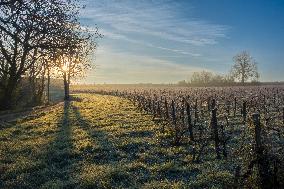 Illustration - Gironde