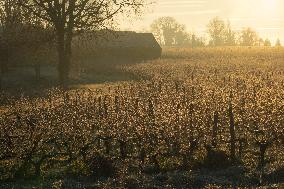 Illustration - Gironde