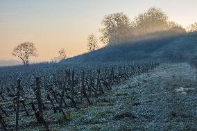 Illustration - Gironde